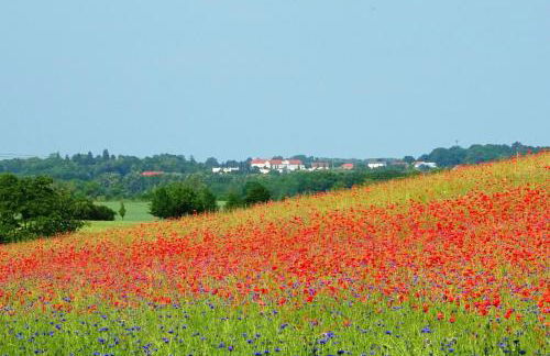 Appartement Werft & Meer - Foto 30