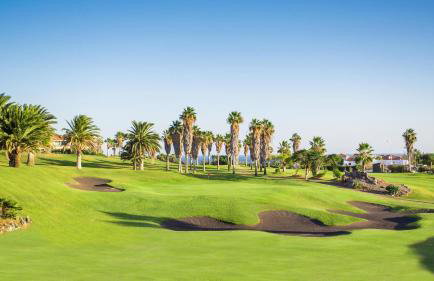 Book Inn Golf Park Sunny Cozy Apartment near the Ocean with large double terraces, fiber WIFI, 3 pools, bbq Tenerife South - Foto 56