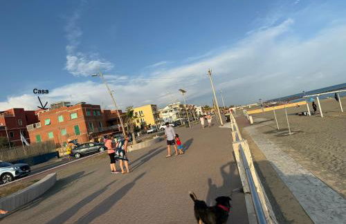 L'Isola che non c'è - Photo 76