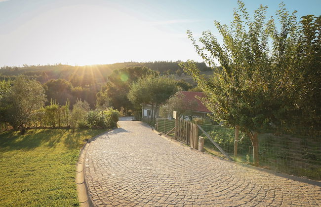 I Love Dão - Casas Da Fraga - Photo 46