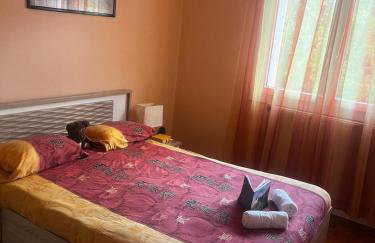 Appartement T3 Parking - Bordeaux - Foto 7