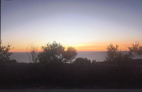 App Bonić - Foto 40