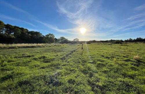 Grand appartement en pleine nature et proche mer ! - Foto 6