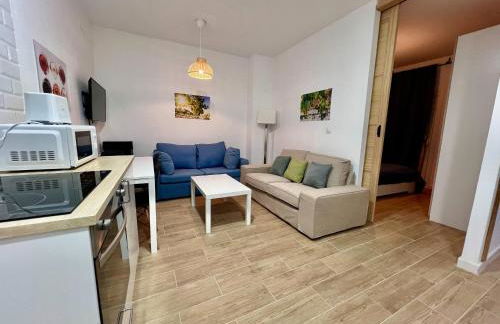 Apartamentos La Albariza Jerez Centro - Foto 59