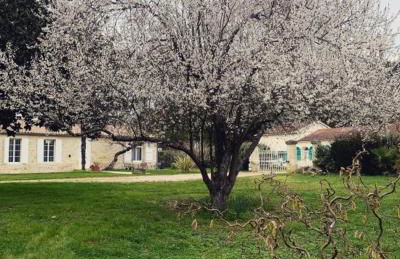 L’océan 20 - Foto 24