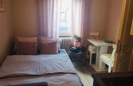 Villa Rosa Bad Camberg - Foto 4