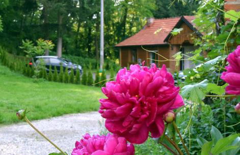 Apartmani Katruža - Foto 20