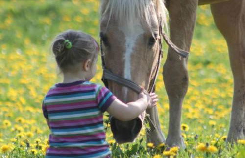 Geräumige Ferienwohnung mit Garten in Brusow - Foto 40