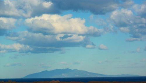 Les bougainvilliers - Foto 4