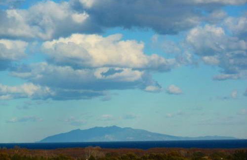 Les bougainvilliers - Foto 4