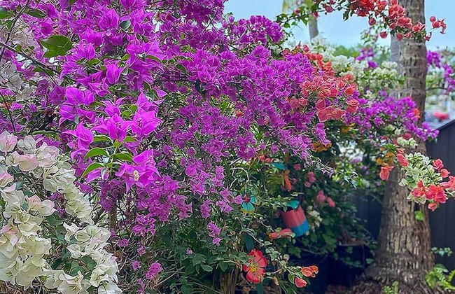 Harbor Towers 1st Fl. West Facing - Foto 42