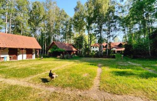 Villa Stare Osieczno - Foto 41