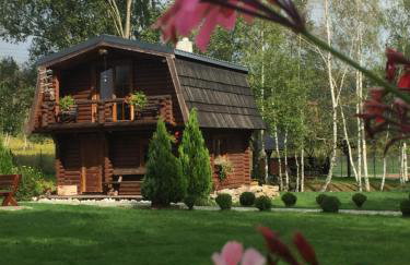 Domki Florentyna Szklarska Poręba-Wojcieszyce - Foto 69