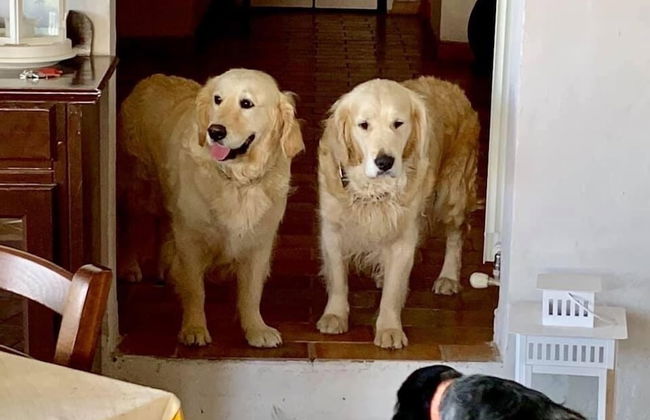 Setter House Agri Hotel - Foto 80