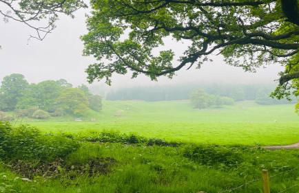 Stylish Garden Flat Near Loch Ness - Foto 48