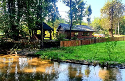 Jurajska Sielanka - domek nad rzeczką - Foto 1