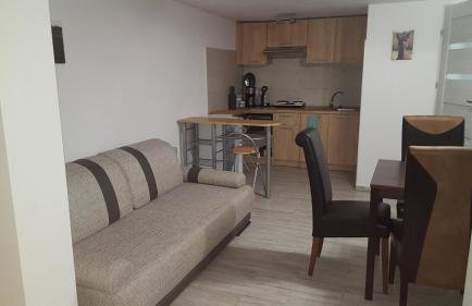 Alpaka-Ranczo AFF - Foto 75