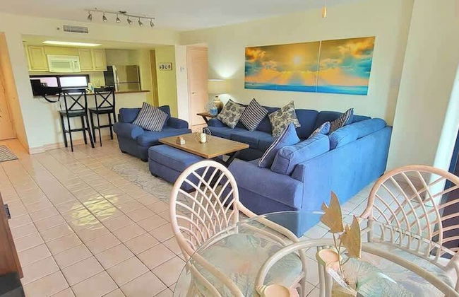 Saida Royale 9039 - Foto 40