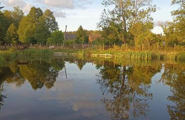Gospodarstwo Agroturystyczne Irena Naruszewicz - Foto 37