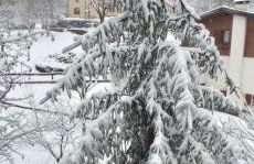 Mansarda Anna e Marco - Photo 23