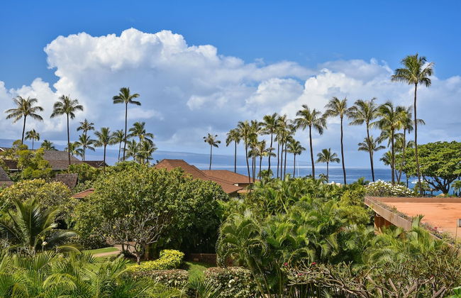 Maui Kaanapali S #a317 Studio Bedroom Condo by RedAwning - Foto 36