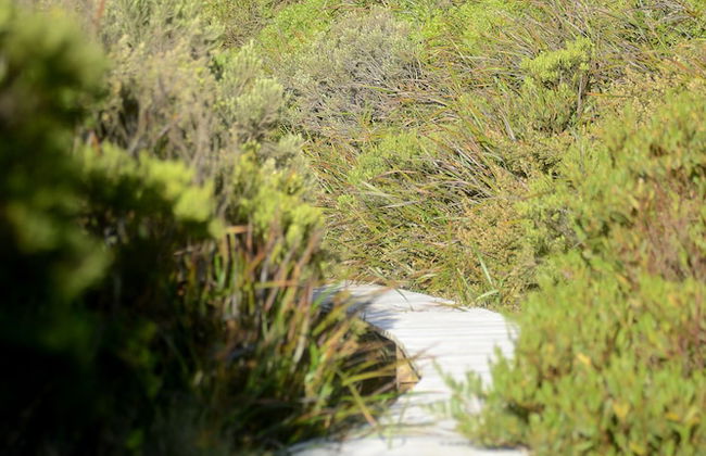 Cloudy Bay Beach House - Foto 23