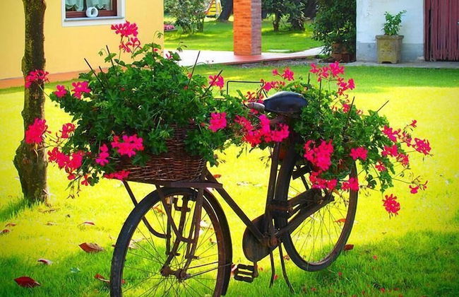 Agriturismo Greppi - Foto 31