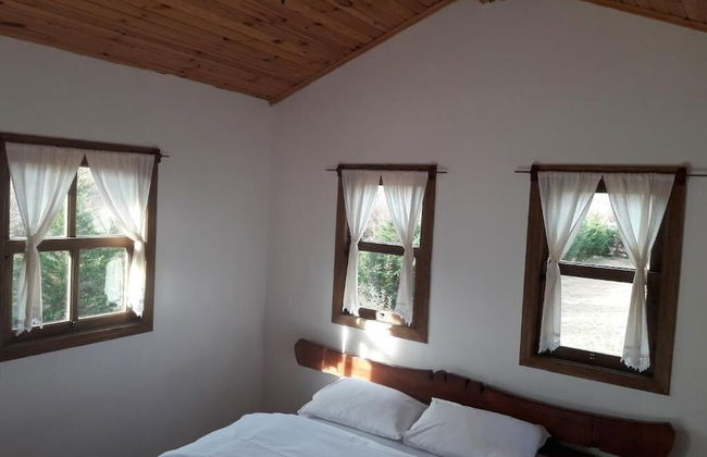 Vira Garden House - Foto 54