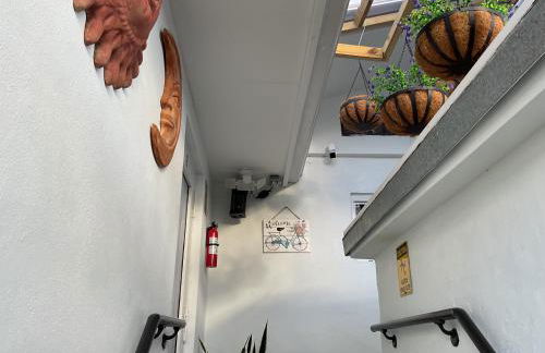 Luna y Sol Calle 8 - Foto 10