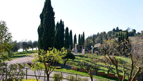 Agriturismo Torre Burchio - Photo 3