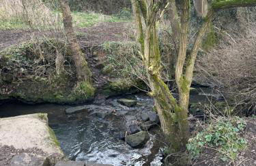 Courtyard Holiday Apartments - Foto 49