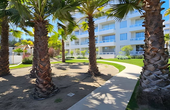 Oceana Suites Distrito Verde - Foto 16