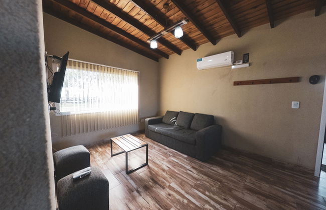 Olivos de Monte - Foto 25