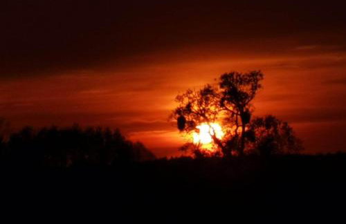 Stara Stolarnia - Foto 47