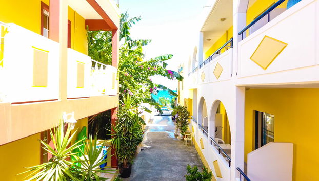 Stegna Star - Foto 2