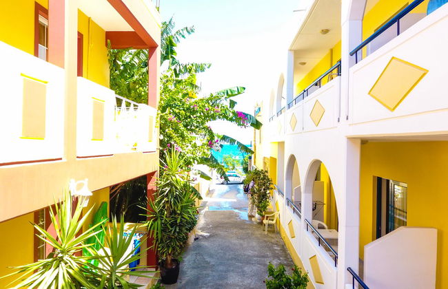 Stegna Star - Foto 2