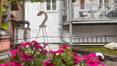 Wohnung im Herzen der historischen Altstadt - Foto 5