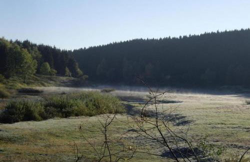 Ferienhaus mit Wellnessbereich in Elend - Foto 33