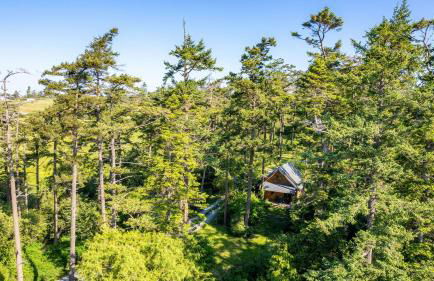 Penn Cove Overlook by Avantstay Cabin w/ Views - Foto 51