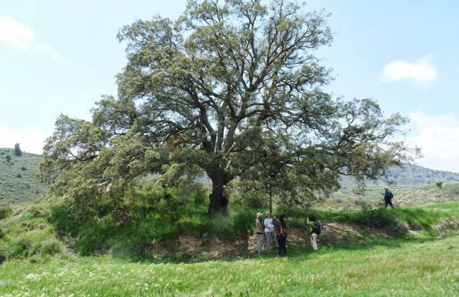 Casa rural El Salero en Moratalla - Foto 61