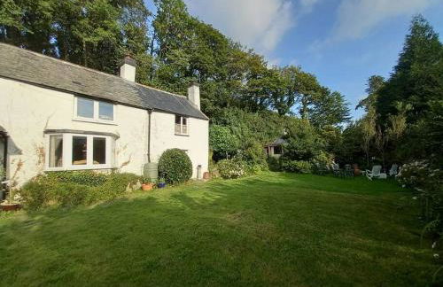 Tan y coed's Rosemary Cabin - Photo 30