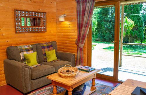 Fiddlers Green Log Cabin Tenby - Foto 9