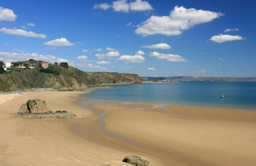 Seashell Tenby - Photo 17