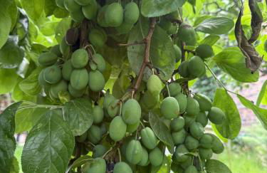 Troon Centre Seaside Retreat -Apt close to Beach Golf and Surf - Foto 39