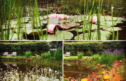 Cottage near Corfe & Jurassic Coast - Foto 11