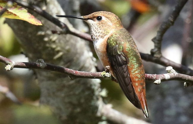 Crows Nest by Avantstay Accessible Home w/ Views - Foto 16