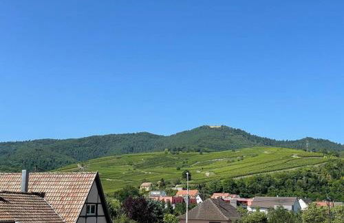 A2 pas de Colmar terrasse,parking - Foto 32