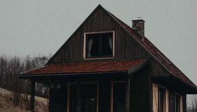 Mech i brzoza - Foto 5