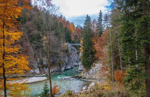 Beim Mühltaler II - Photo 35