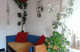 Kanela Guest House B-side - Foto 10